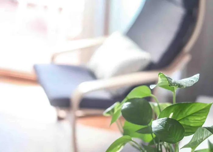 Costa Arenal - Biniplaya Apartment